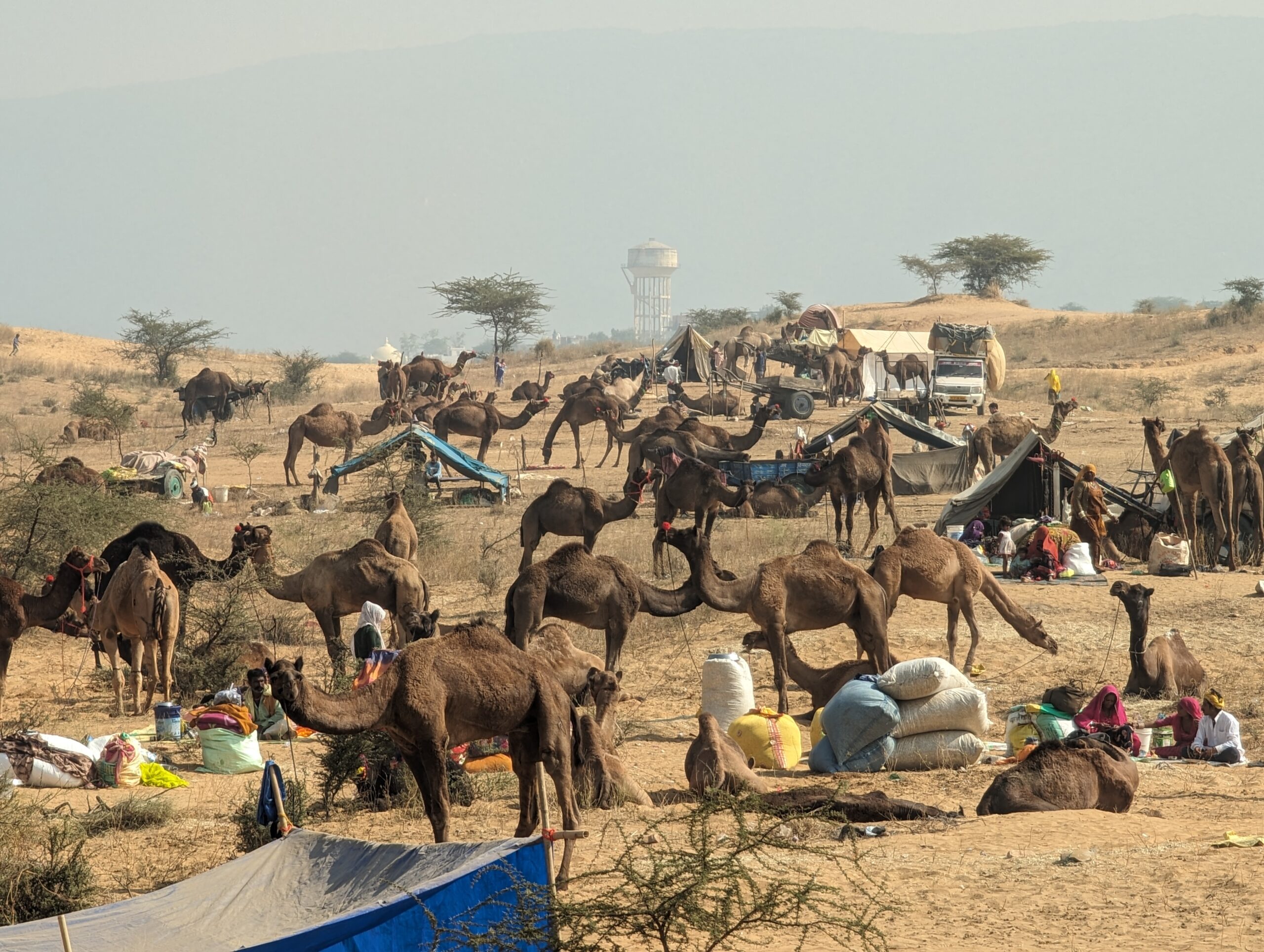 Pushkar