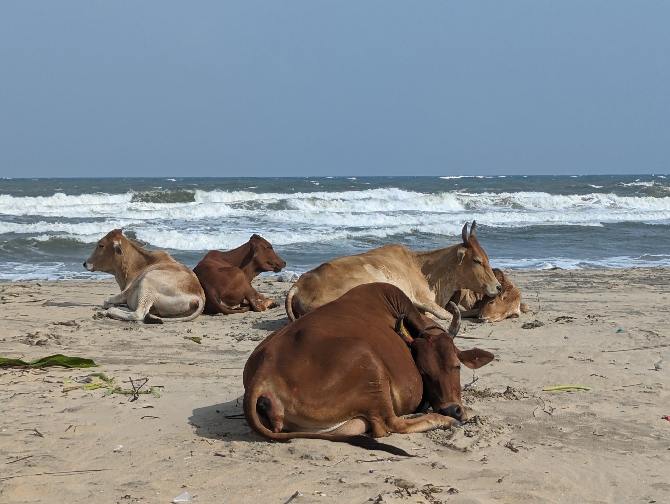 Tamil Nadu